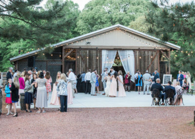 Sarah and Jeff Wedding-ceremony reception-0384